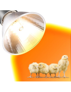 Paquete de 3 Lámparas de Calor G9 25W para Pollitos EXOREPTI 2