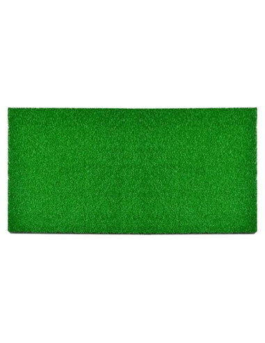 Césped Artificial para Tortugas Ipetboom 50x25 cm Verde