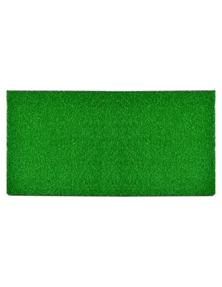 Césped Artificial para Tortugas Ipetboom 50x25 cm Verde