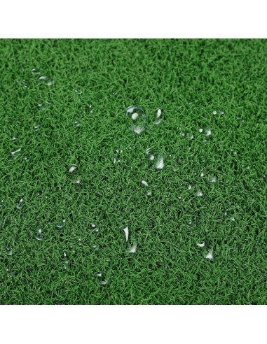 Césped Artificial para Tortugas Ipetboom 50x25 cm Verde