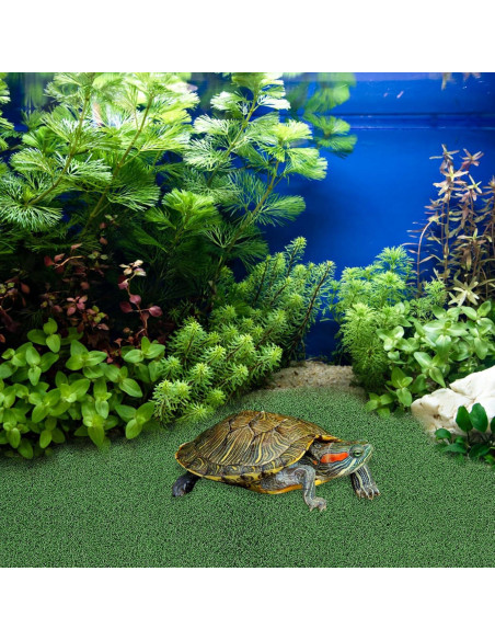 Césped Artificial para Tortugas Ipetboom 50x25 cm Verde