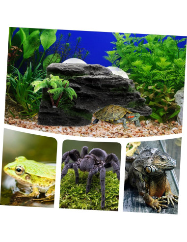 Plataforma de Sol Grande FONDOTIN para Tortugas y Reptiles