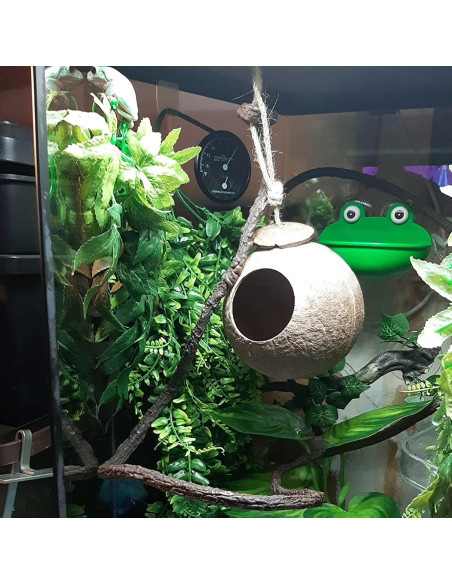 Escondite de Coco Natural MUYG para Reptiles 27x14cm