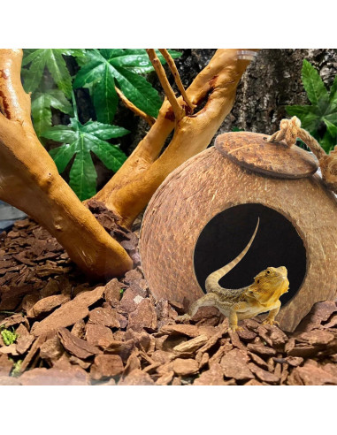 Escondite de Coco Natural MUYG para Reptiles 27x14cm
