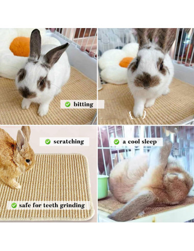 Almohadilla para Rascar Conejos Jevnd 40x30cm Sisal Natural