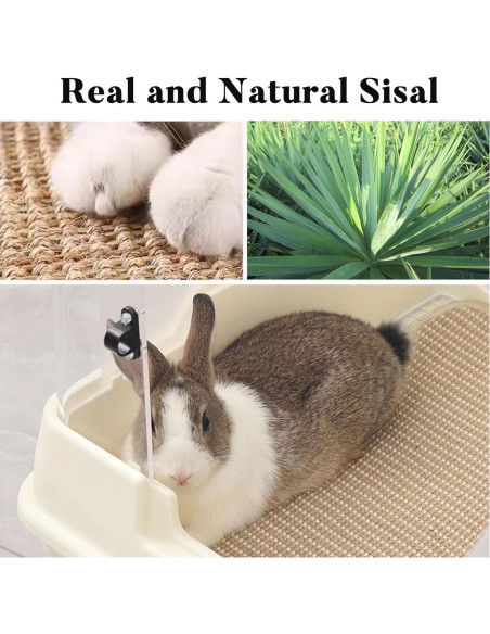 Almohadilla para Rascar Conejos Jevnd 40x30cm Sisal Natural