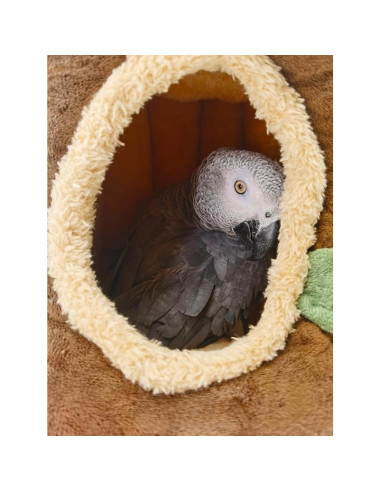 Nido de Pájaro Cálido Copfeu, Casa Tocón para Mascotas Pequeñas