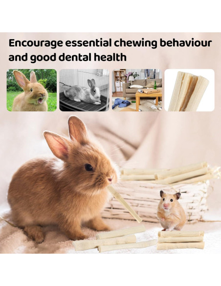 Palitos de Madera de Bambú Dulce Sukh 240g para Conejos