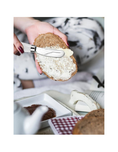 Set de 4 Cuchillos para Untar Mantequilla AISBUGUR - Acero Inoxidable y Mango de Cerámica