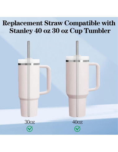 Paquete de 6 Pajitas de Acero Inoxidable Gdsinstna 30 cm