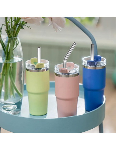 Paquete de 6 Pajitas de Acero Inoxidable Gdsinstna 30 cm