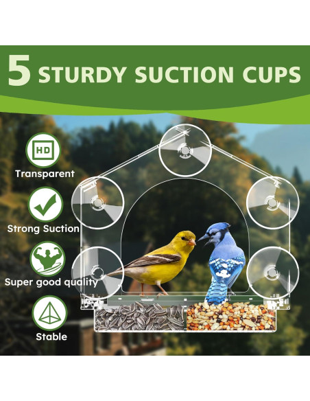 Comedero para Aves GelinRedcap con 5 Ventosas Fuertes 25.4x12.7cm Comedero para Aves GelinRedcap con 5 Ventosas Fuertes 25.4x12.7cm