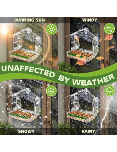 Comedero para Aves GelinRedcap con 5 Ventosas Fuertes 25.4x12.7cm