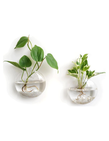 Mkono Soporte de Pared para Terrarios de Vidrio, Set de 2