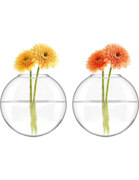 Mkono Soporte de Pared para Terrarios de Vidrio, Set de 2