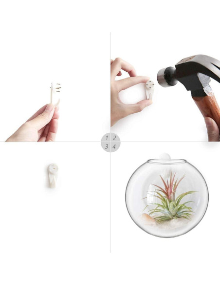 Mkono Soporte de Pared para Terrarios de Vidrio, Set de 2