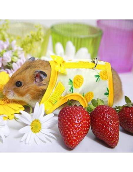 Arnés Ajustable para Mascotas Pequeñas Weewooday 3 Piezas