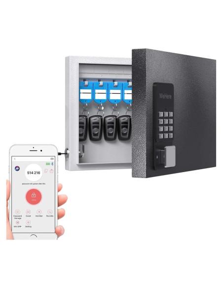 Caja de Llaves Inteligente DiDiHere 16 Llaves Montada en Pared