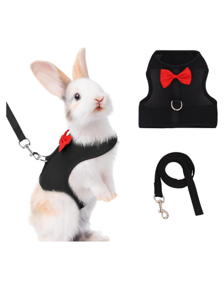 Conjunto Arnés y Correa AIITLE para Conejos y Mascotas Pequeñas