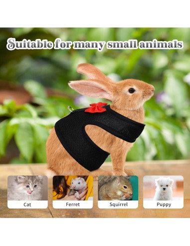 Conjunto Arnés y Correa AIITLE para Conejos y Mascotas Pequeñas