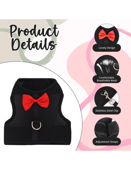 Conjunto Arnés y Correa AIITLE para Conejos y Mascotas Pequeñas