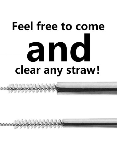 Cepillos de limpieza de tubos Rotema, 10 unidades, acero inoxidable