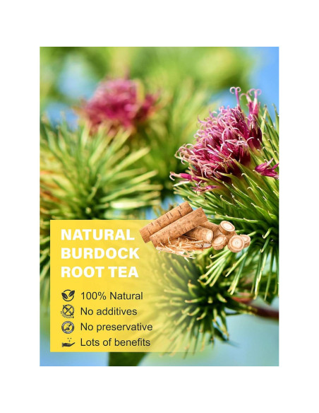 Té de Raíz de Bardana TeeLux 198g Natural Sin Cafeína Té de Raíz de Bardana TeeLux 198g Natural Sin Cafeína