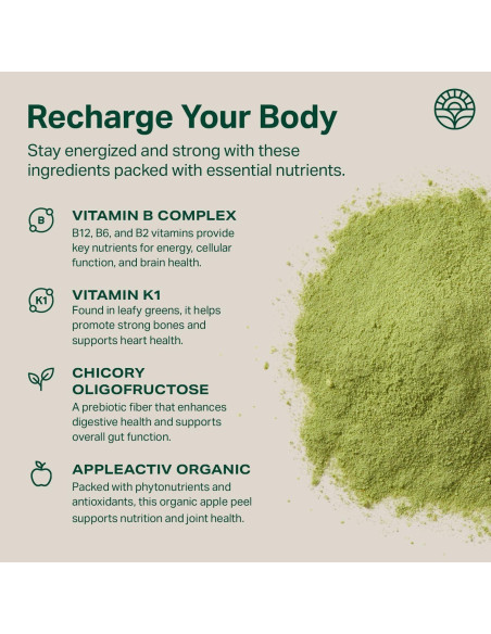 Polvo de Verduras Daily Boost Proper 15 Porciones Sabor Manzana Polvo de Verduras Daily Boost Proper 15 Porciones Sabor Manzana