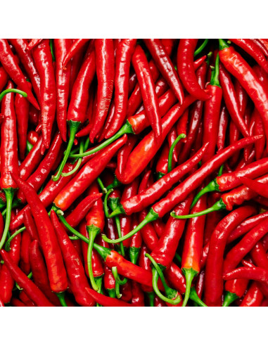 Mezcla de Especias 7 Pimienta S&B - 300 g Sazonador Japonés