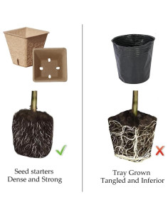 Kit de Inicio de Semillas UTYLNE con 100 Macetas de Turba y Herramientas 2