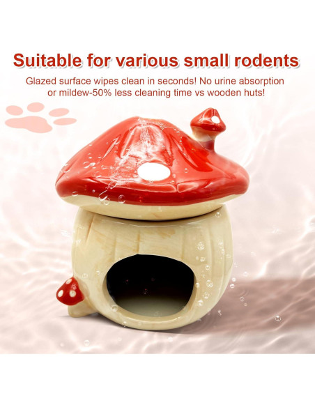 Accesorios para Hámster Beleatal: Escondite Cerámico, Botella y Tazón