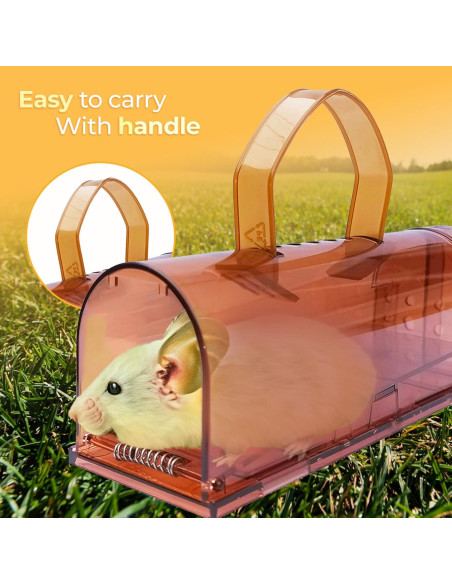 Trampas de Ratones Humanas CTB Dealz - Paquete de 2 Reutilizables