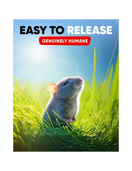 Trampas de Ratones Humanas CTB Dealz - Paquete de 2 Reutilizables