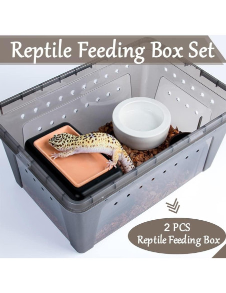 Caja de Alimentación para Reptiles Hamiledyi 2 Piezas 32x22cm