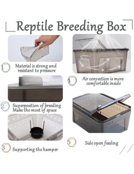 Caja de Alimentación para Reptiles Hamiledyi 2 Piezas 32x22cm
