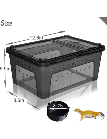 Caja de Alimentación para Reptiles Hamiledyi 2 Piezas 32x22cm