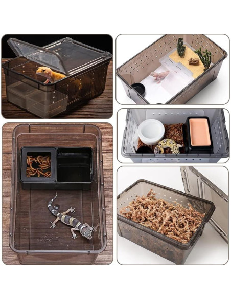 Caja de Alimentación para Reptiles Hamiledyi 2 Piezas 32x22cm