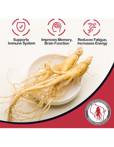 Bolsitas de Té de Ginseng Americano Dairyland 20 Unidades - Sin OGM