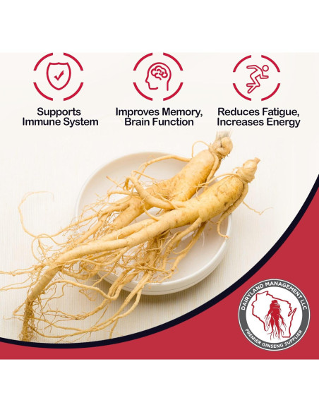 Bolsitas de Té de Ginseng Americano Dairyland 20 Unidades - Sin OGM