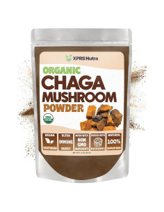 Polvo de Hongo Chaga Orgánico XPRS Nutra 113.4g - Superalimento