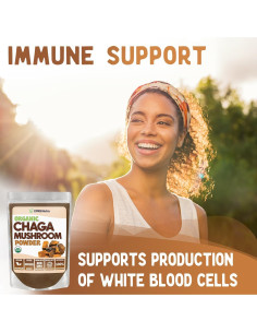 Polvo de Hongo Chaga Orgánico XPRS Nutra 113.4g - Superalimento 2