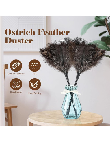 Plumero de Avestruz Daieeparty 37.8 cm Mango Plástico