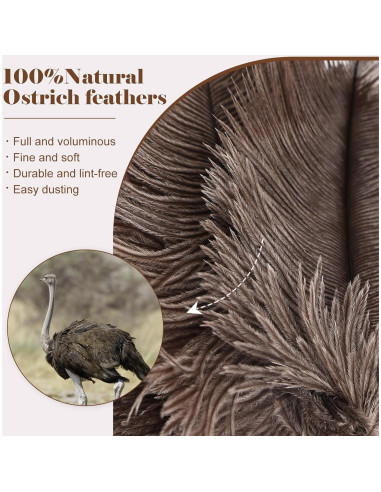 Plumero de Avestruz Daieeparty 37.8 cm Mango Plástico