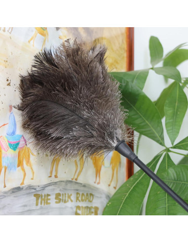 Plumero de Avestruz Daieeparty 37.8 cm Mango Plástico