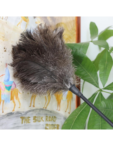 Plumero de Avestruz Daieeparty 37.8 cm Mango Plástico