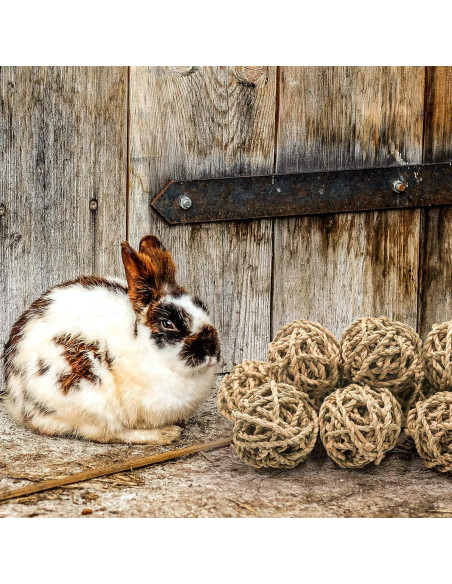 10 Pelotas de Juego Naturales para Conejos y Roedores Bac-kitchen