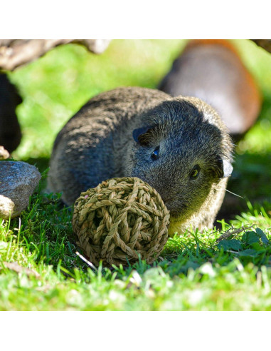 10 Pelotas de Juego Naturales para Conejos y Roedores Bac-kitchen