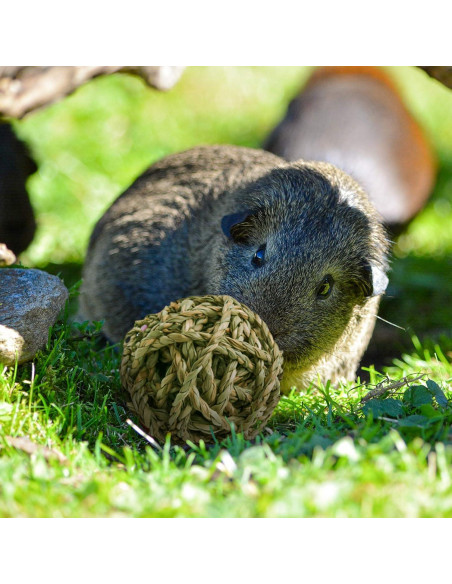 10 Pelotas de Juego Naturales para Conejos y Roedores Bac-kitchen