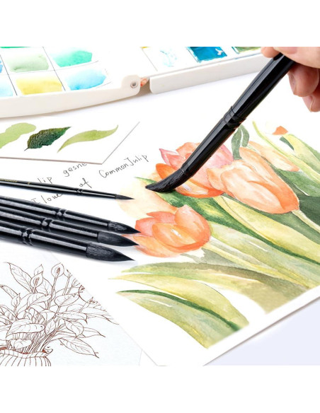 Set de 8 Pinceles Redondos TRANSON para Acuarela y Acrílico