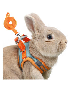 Arnés Ajustable para Conejo SQUSIMEI con Tira Reflectante - S